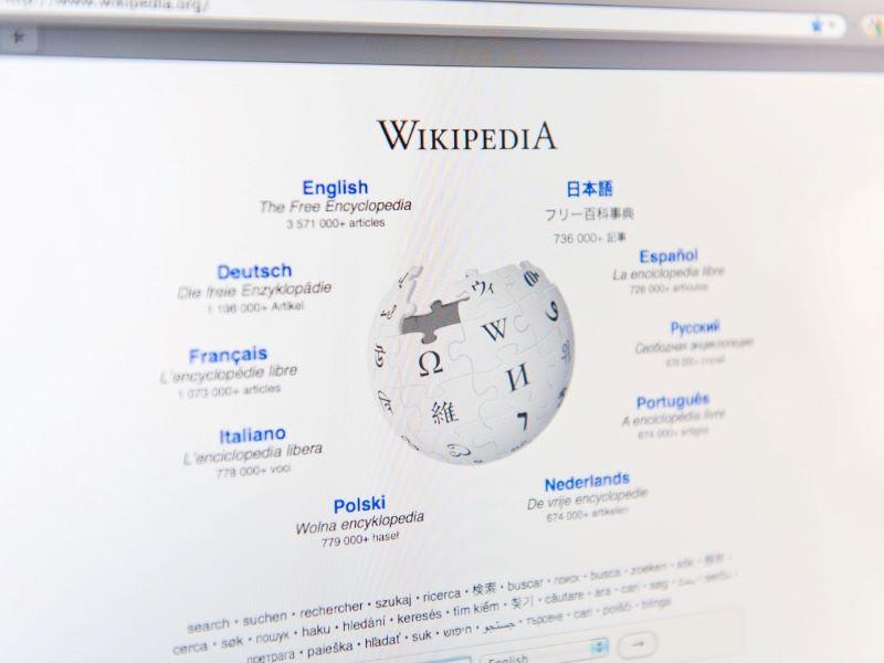 Image of a Wikipedia screen